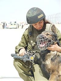 People & Humanity: army girls of israeli defense forces