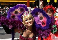 People & Humanity: Samba carnival, Japan