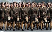 People & Humanity: Military parade, North Korea