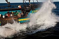 People & Humanity: Deadliest catch, Discovery Channel