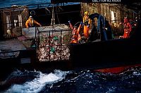 People & Humanity: Deadliest catch, Discovery Channel