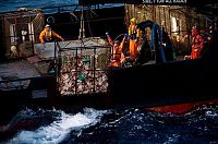 TopRq.com search results: Deadliest catch, Discovery Channel