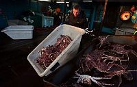 People & Humanity: Deadliest catch, Discovery Channel