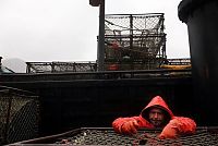 People & Humanity: Deadliest catch, Discovery Channel