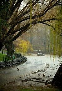 People & Humanity: proposal of marriage in the rain