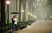 People & Humanity: proposal of marriage in the rain
