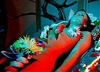 People & Humanity: nyotaimori, body sushi girl