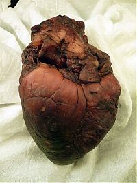 People & Humanity: Mummified heart  of the vampire Auguste Delagrange on eBay