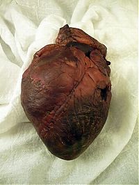 People & Humanity: Mummified heart  of the vampire Auguste Delagrange on eBay