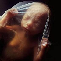 People & Humanity: human embryogenesis, fertilization and fetus development