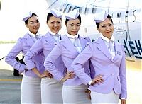 People & Humanity: flight attendants around the world