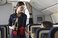 TopRq.com search results: flight attendants around the world