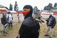 People & Humanity: Takanakuy, Peruvian fight club, Chumbivilcas, Andes, Peru