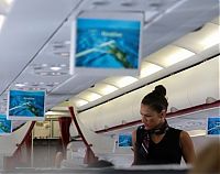 TopRq.com search results: flight attendants around the world