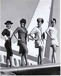 TopRq.com search results: flight attendants around the world