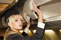 TopRq.com search results: flight attendants around the world