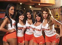 People & Humanity: hooters restaurant girls