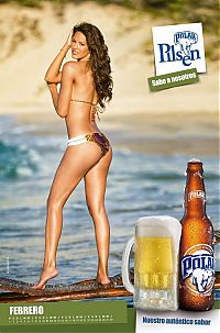 TopRq.com search results: Chicas Polar Pilsen 2013 calendar models