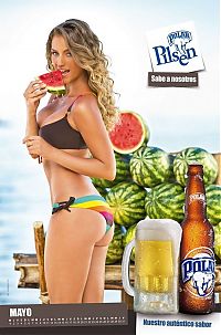 TopRq.com search results: Chicas Polar Pilsen 2013 calendar models