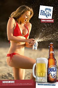 TopRq.com search results: Chicas Polar Pilsen 2013 calendar models