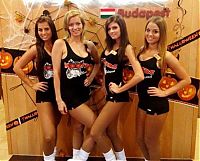 People & Humanity: hooters restaurant girls