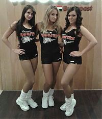 People & Humanity: hooters restaurant girls