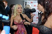 TopRq.com search results: AVN awards ceremony girls of 2013, Hard Rock Hotel, Las Vegas, Nevada, United States