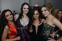 People & Humanity: AVN awards ceremony girls of 2013, Hard Rock Hotel, Las Vegas, Nevada, United States