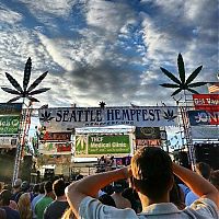 People & Humanity: Seattle Hempfest 2013, Washington, United States