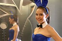 People & Humanity: Playboy bunnies parade, 60th Anniversary, Los Angeles, California, United States