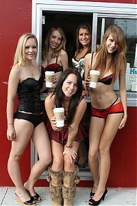 TopRq.com search results: bikini barista girls