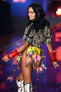 People & Humanity: 2014 Victoria's Secret Fashion show girl