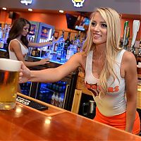 People & Humanity: hooters restaurant girls