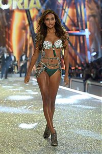 People & Humanity: 2016 Victoria's Secret Fashion show girl