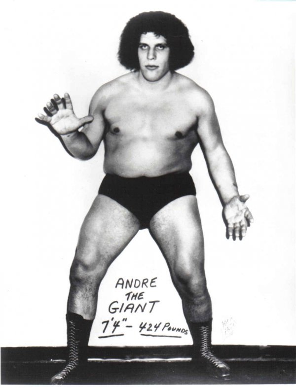 Andre Giant (Andre Rene Russimov), born in Grenoble, France 19 May 1946.