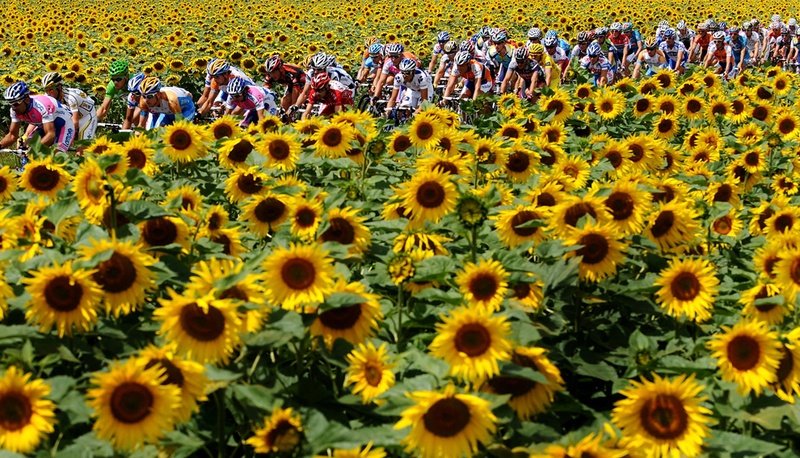 Tour de France 2009