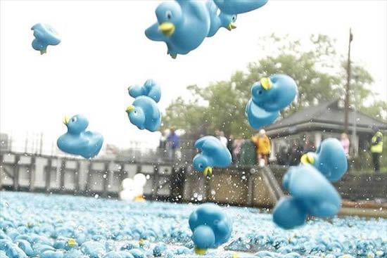 Duck race, London, United Kingdom