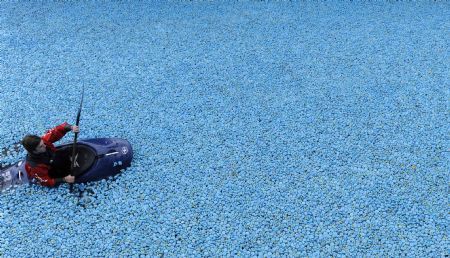 Duck race, London, United Kingdom