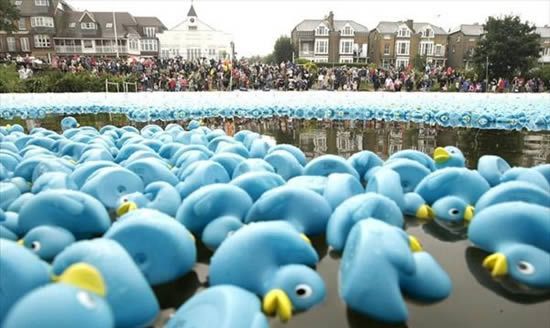 Duck race, London, United Kingdom