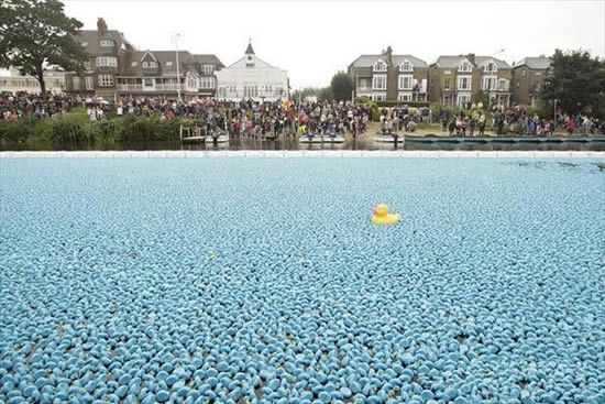 Duck race, London, United Kingdom