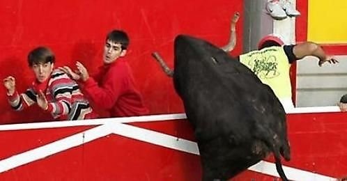 rare funny moments in sport