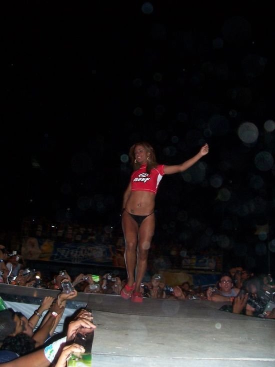 miss reef 2009/2010 bikini contest