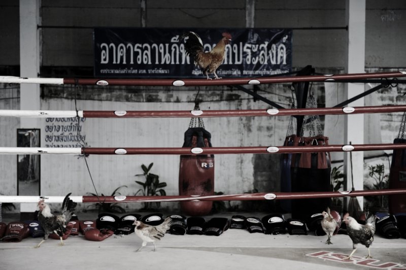 School of martial arts in Thailand