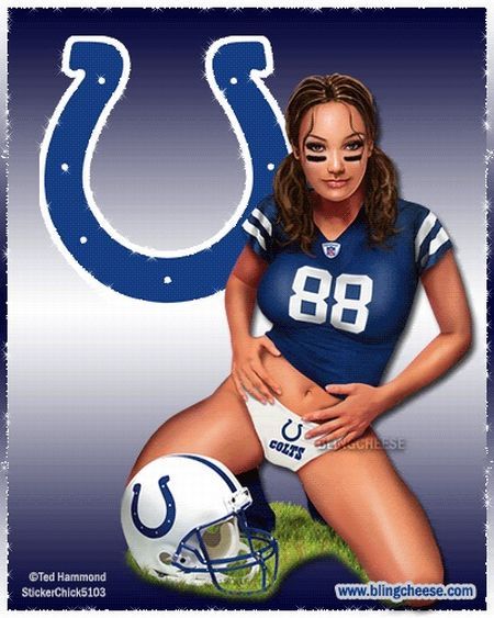 super bowl girl fans