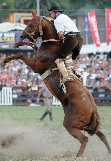 Rodeo in Uruguay