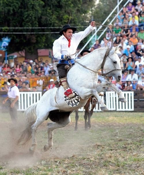 Rodeo in Uruguay