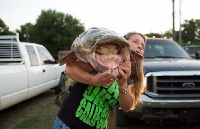 Okie noodling tournament, United States