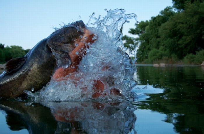 Okie noodling tournament, United States