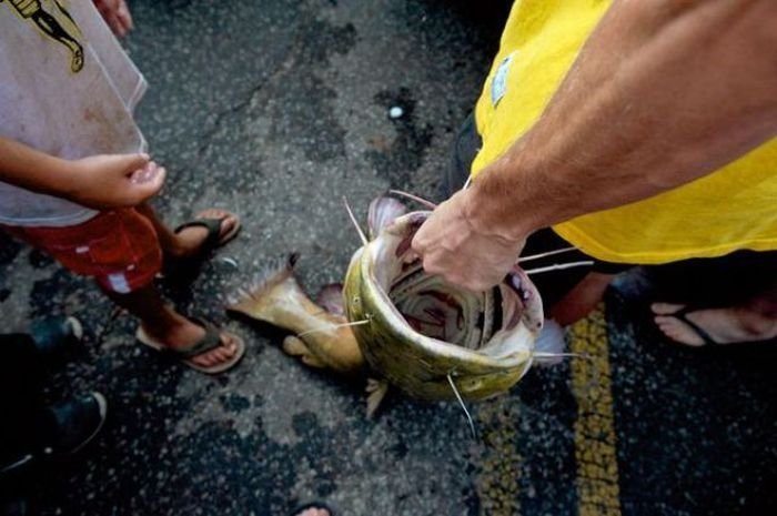 Okie noodling tournament, United States