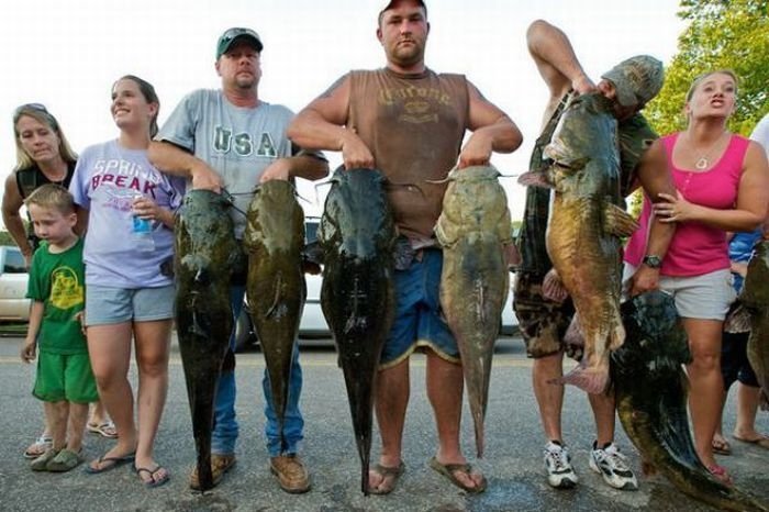 Okie noodling tournament, United States